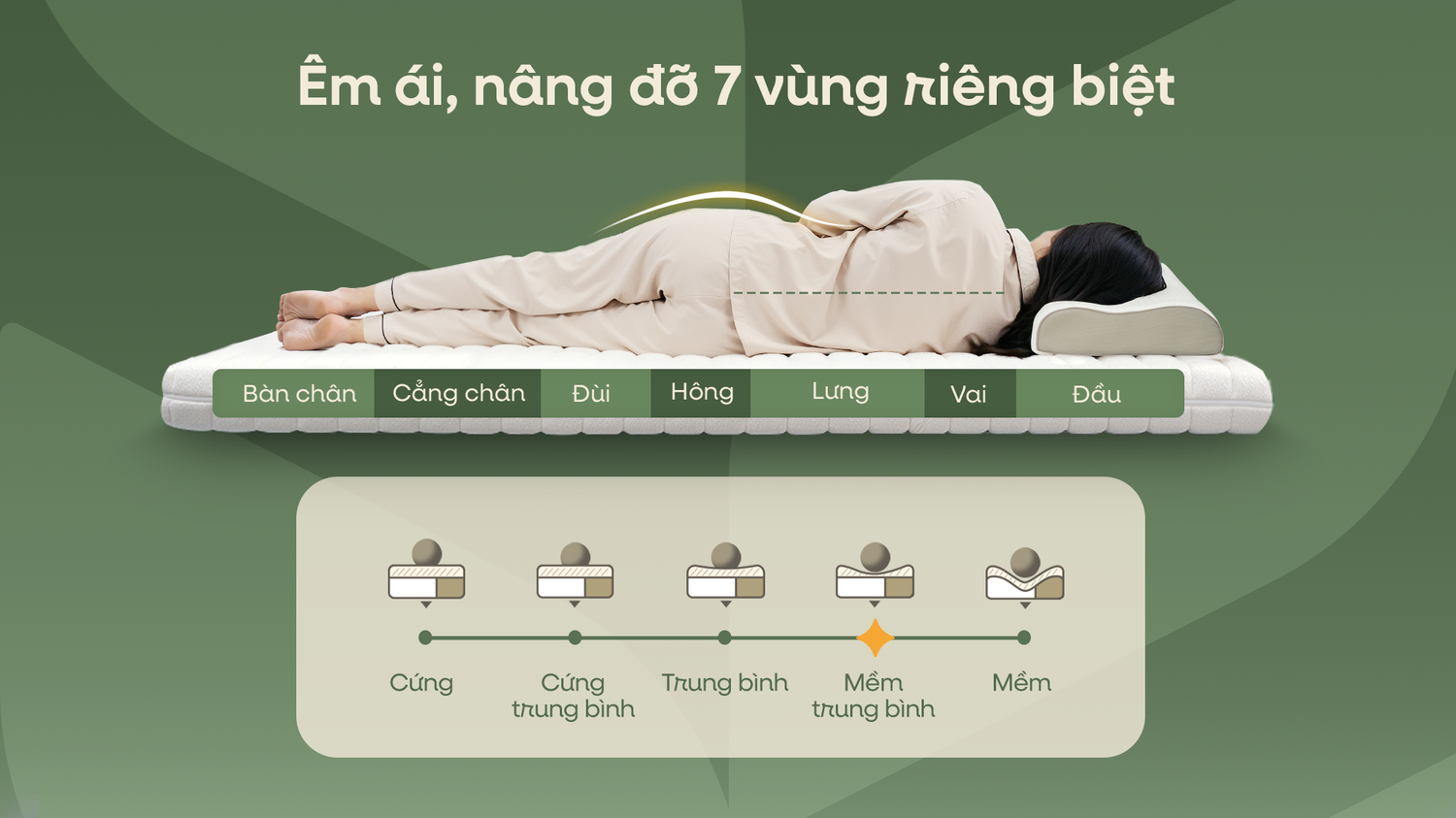 Thiết kế 7 vùng nâng đỡ Gummi