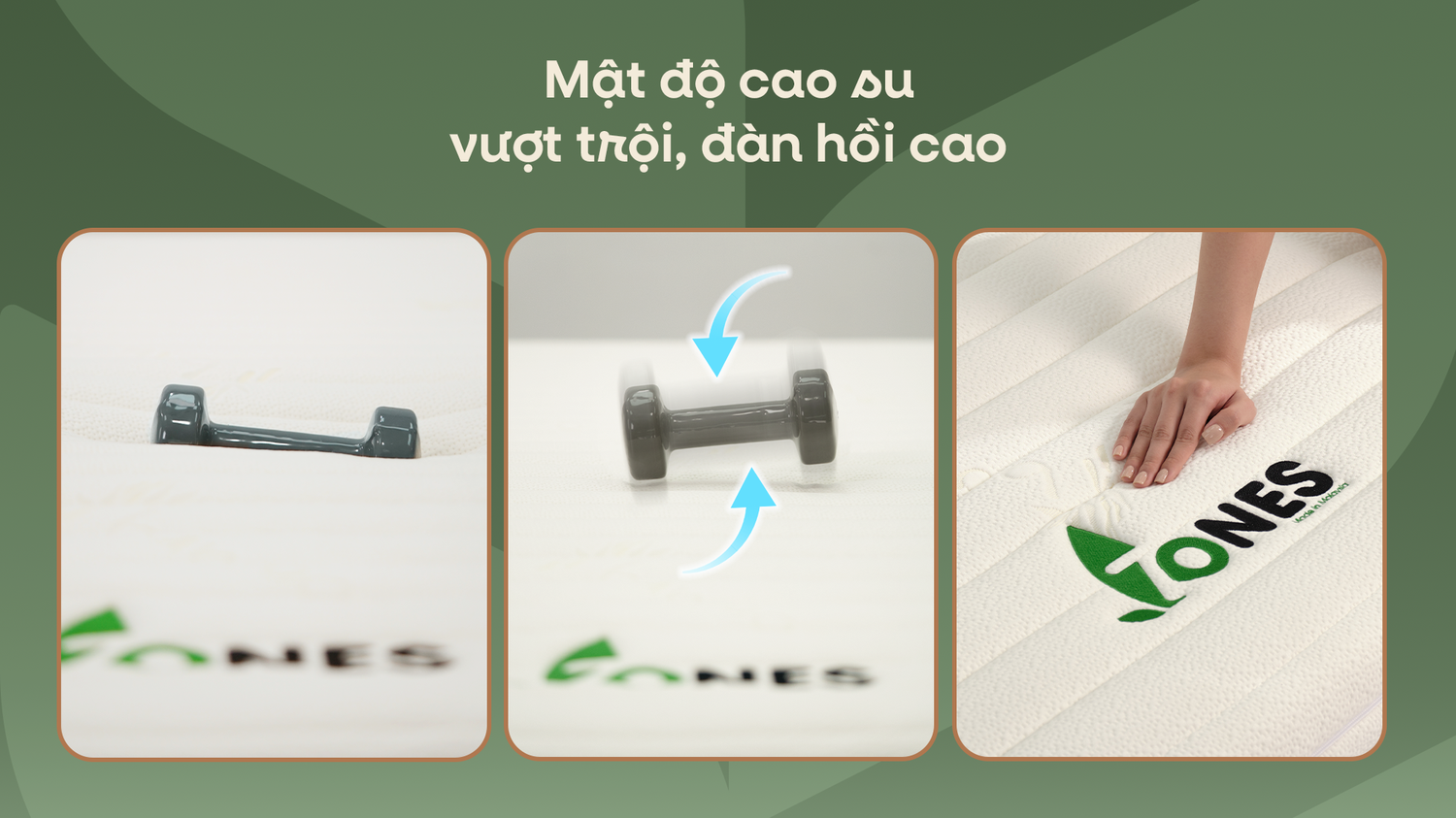 Cao su thiên nhiên Gummi 7Zones