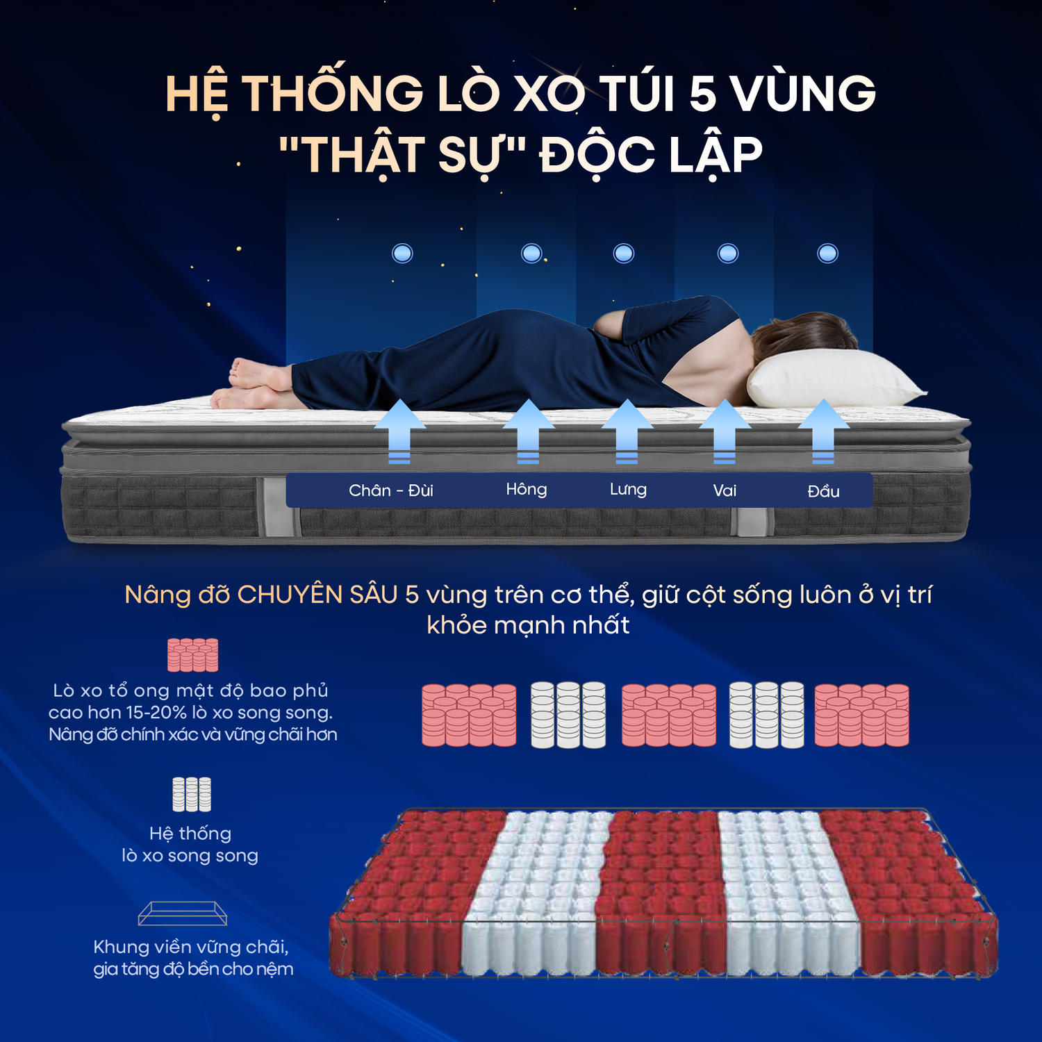 Hệ thống lò xo túi độc lập kết cấu tổ ong phân 5 vùng chuyên sâu