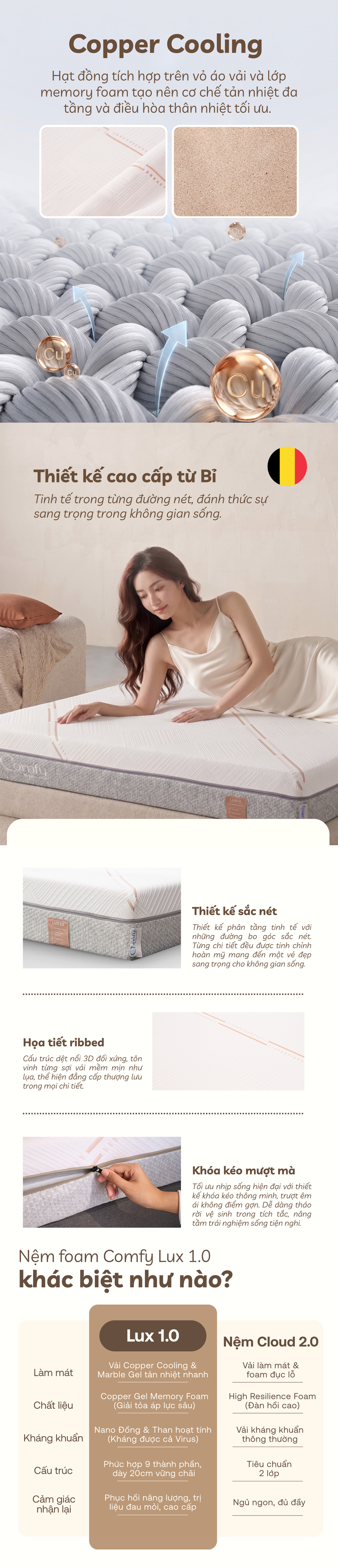 Hệ thống nâng đỡ 5 vùng chuyên sâu của nệm Comfy Lux 1.0