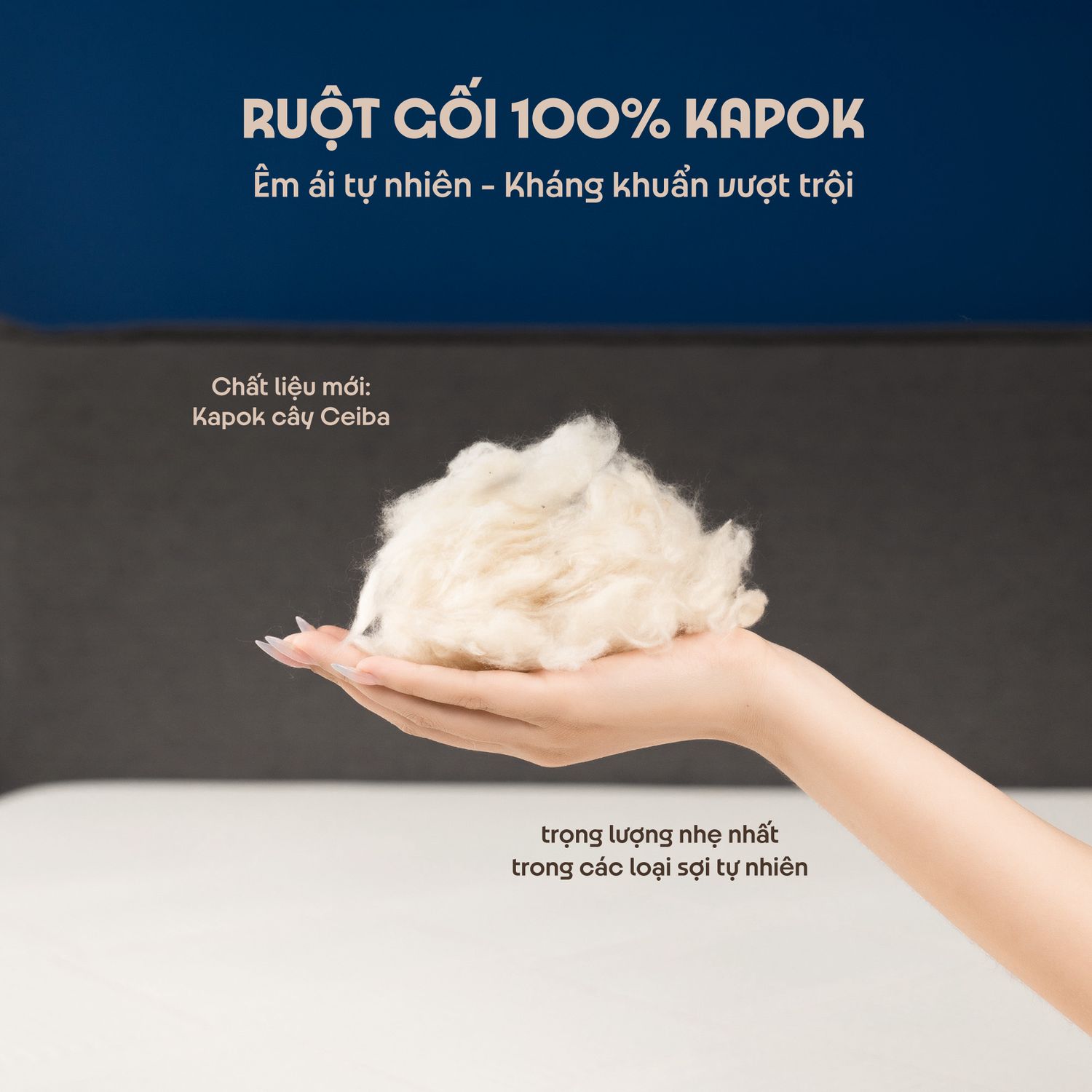 Gối Kapok Premium sợi Kapok tự nhiên nhập khẩu