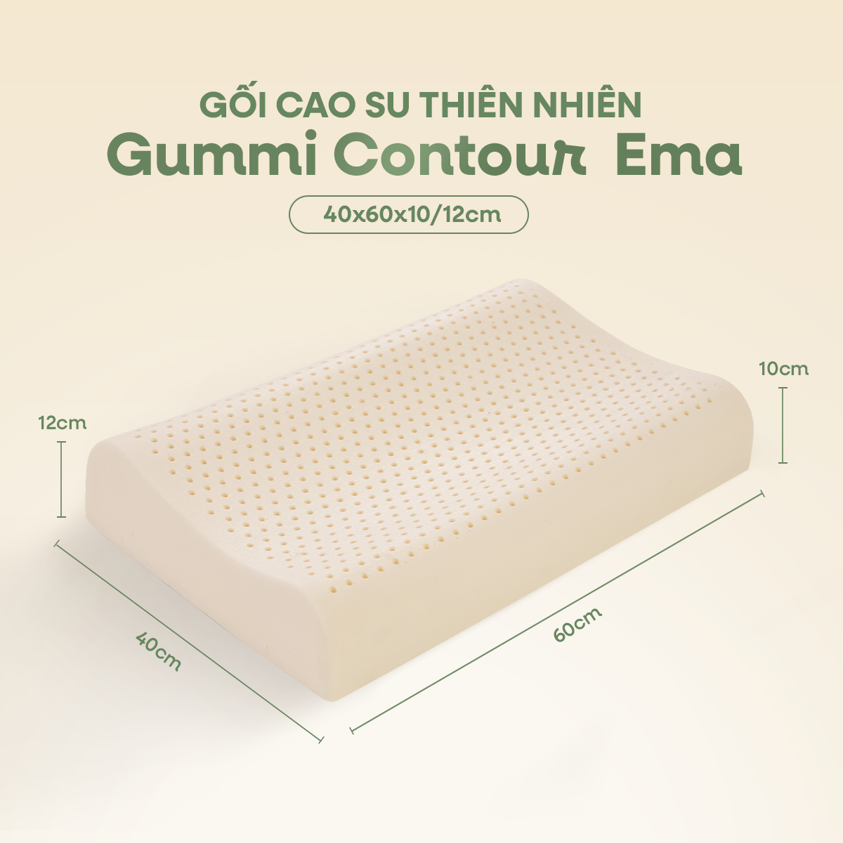 Gối cao su thiên nhiên Gummi Contour Ema