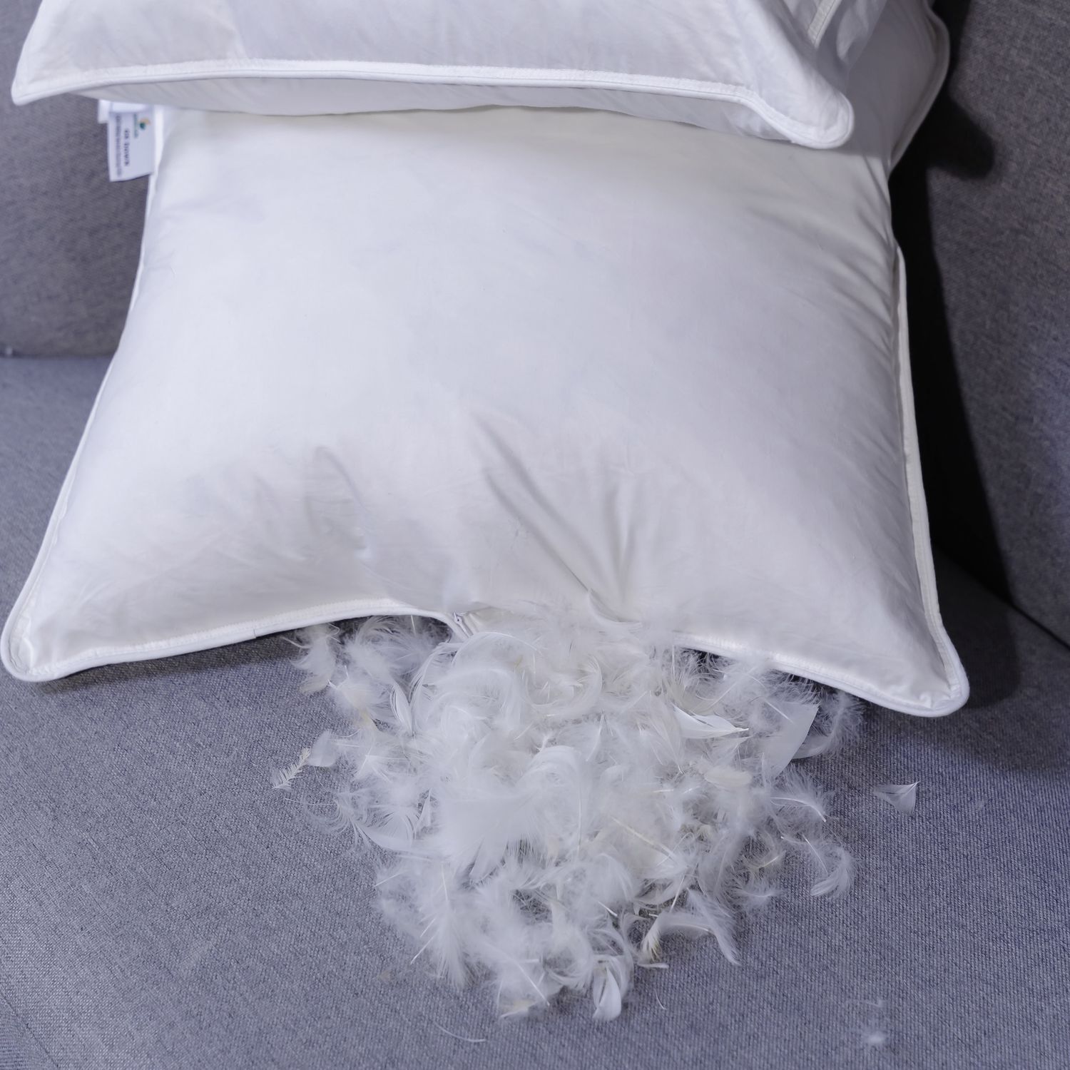 Gối lông vũ Giang Sơn Down