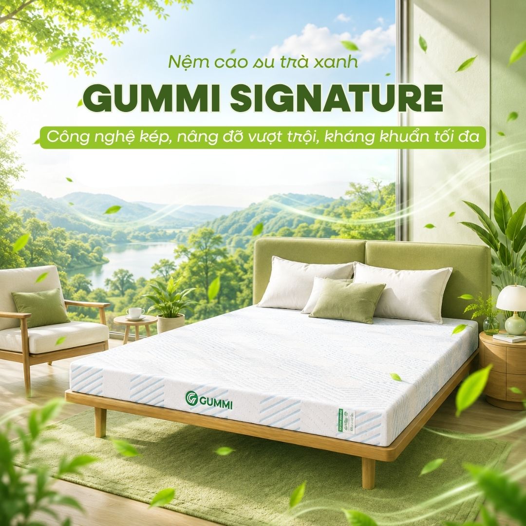 Nệm cao su Gummi Signature