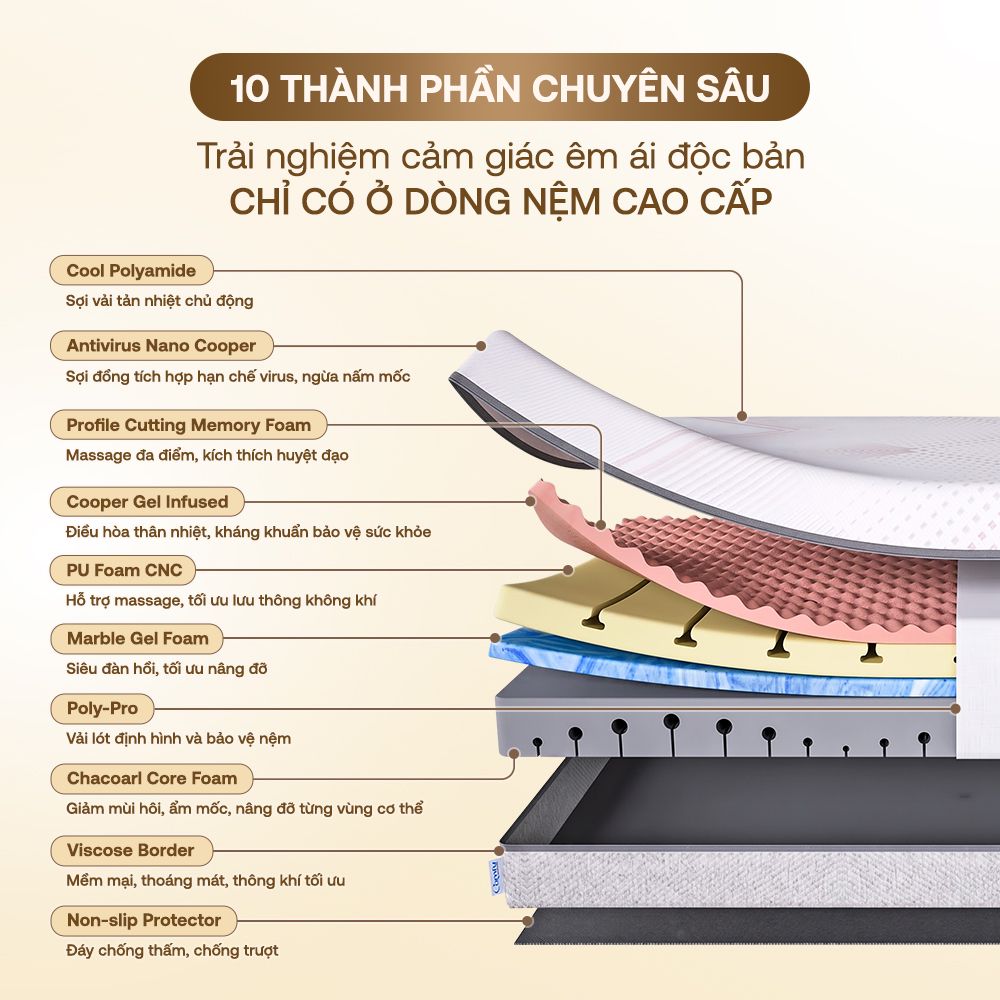 Hình ảnh giới thiệu nệm foam Comfy Lux 3.0 - 2