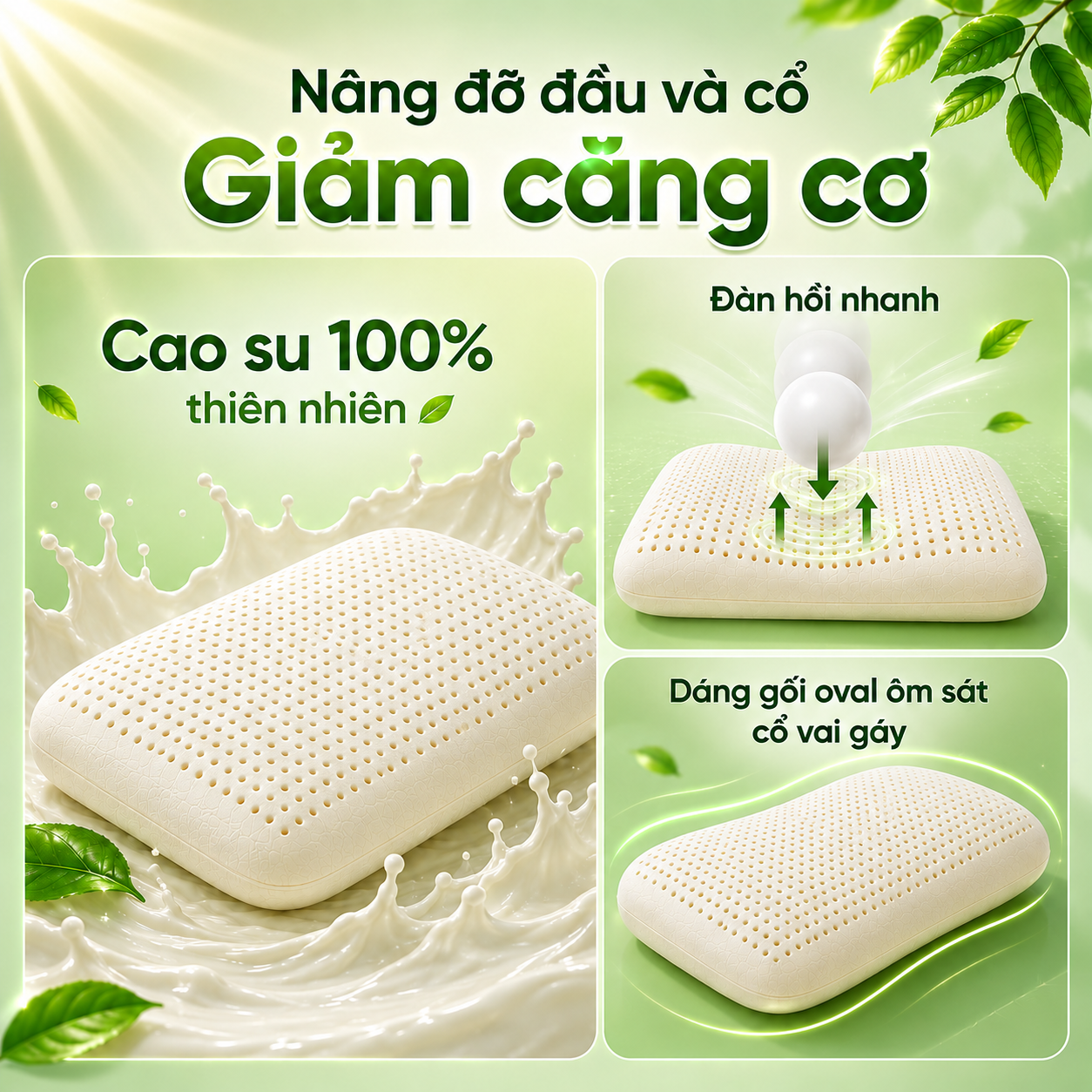 Gối cao su Gummi Cookie
