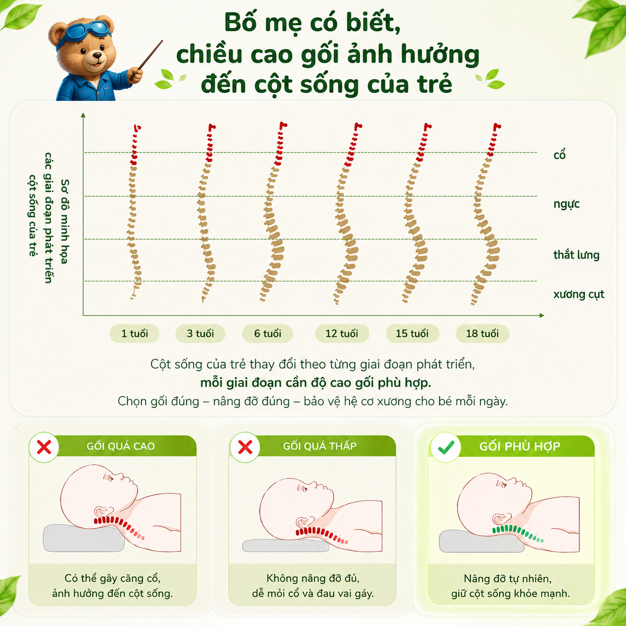 Gối cao su trẻ em Gummi Pudding