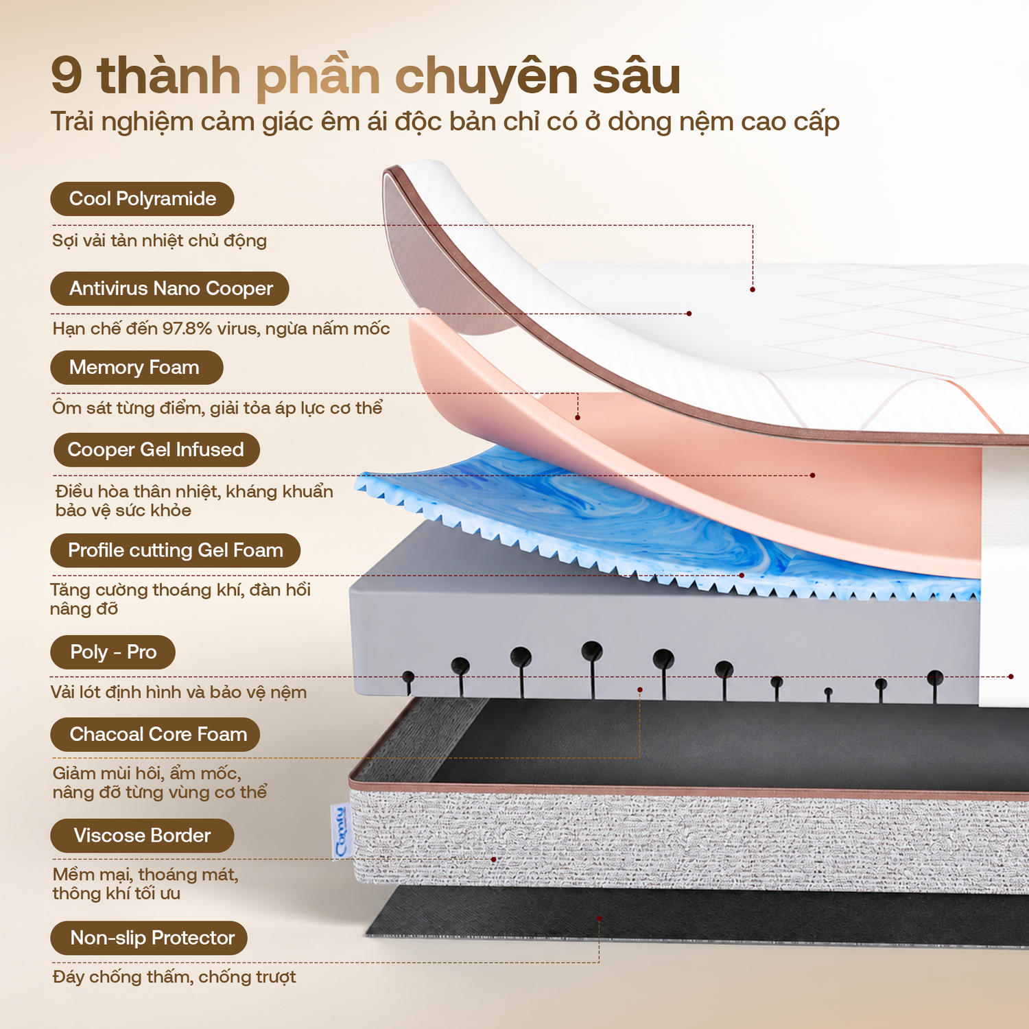 Hình ảnh giới thiệu nệm foam Comfy Lux 2.0 - 2