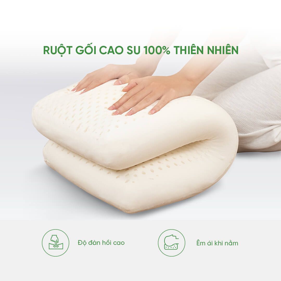 Gối cao su 100% thiên nhiên thoáng khí Gummi Standard