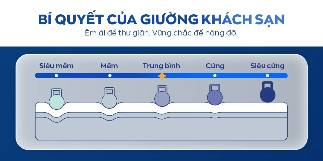 Nệm lò xo Amando Elite Original 8