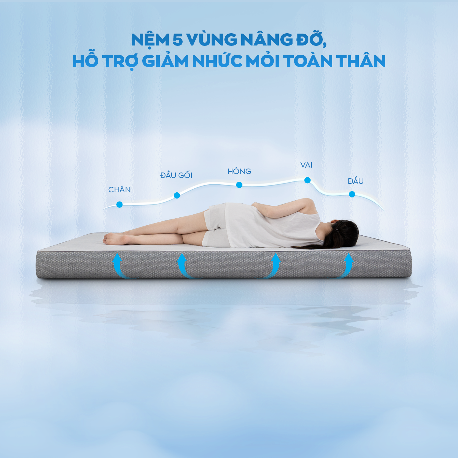 Nâng đỡ 5 vùng Comfy Cloud 2.0