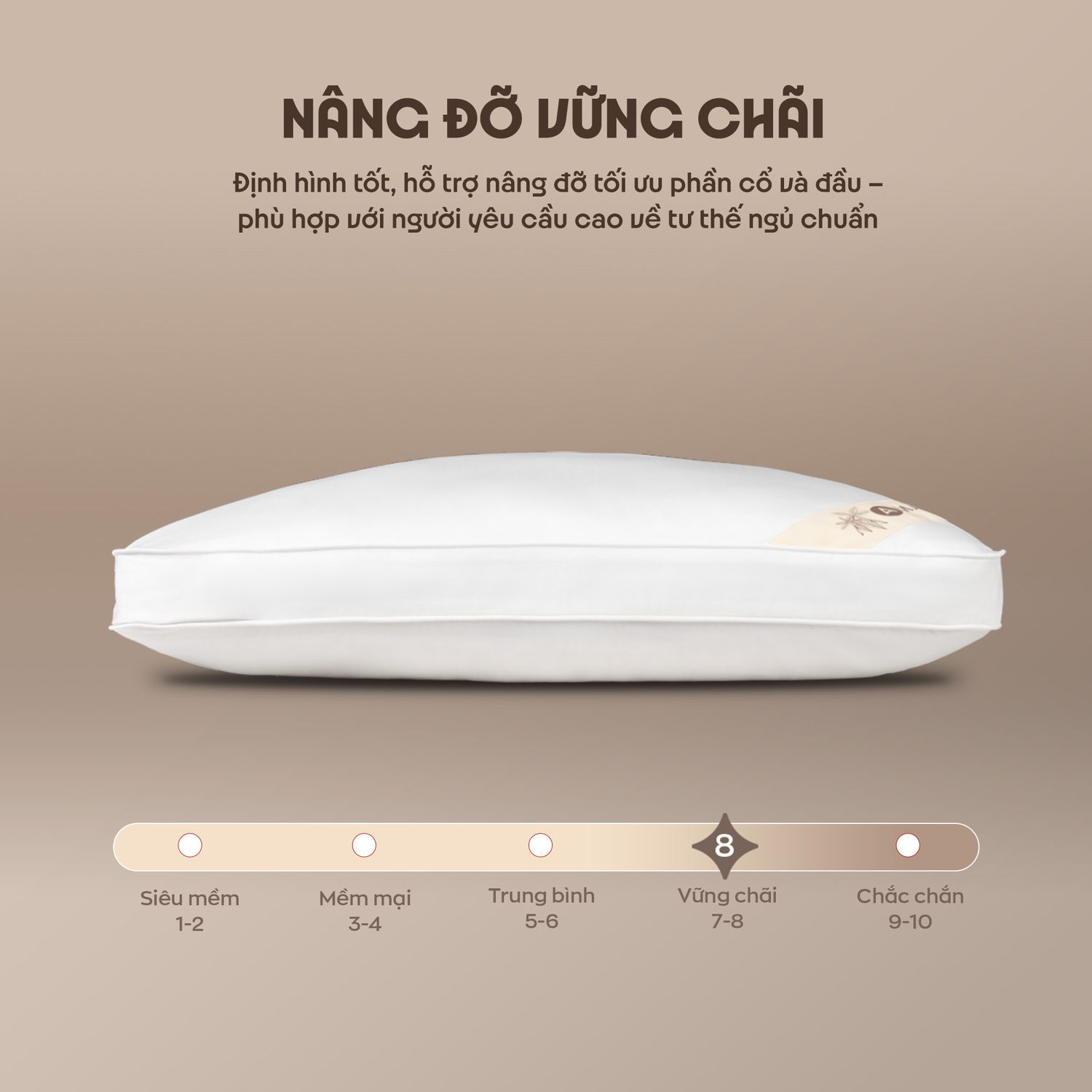 Trải nghiệm nằm nhẹ như mây với gối Kapok Premium