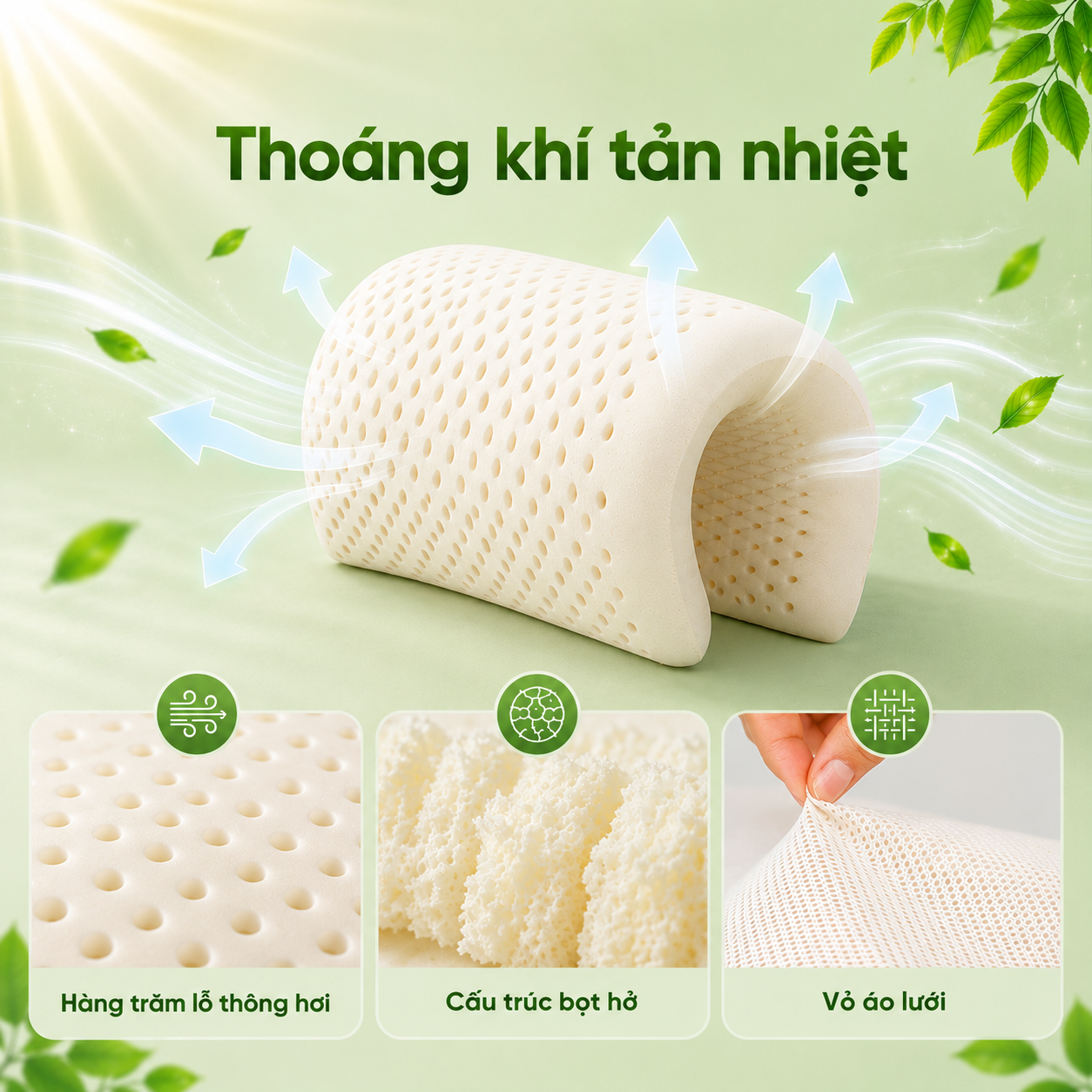 Gối cao su Gummi Cookie