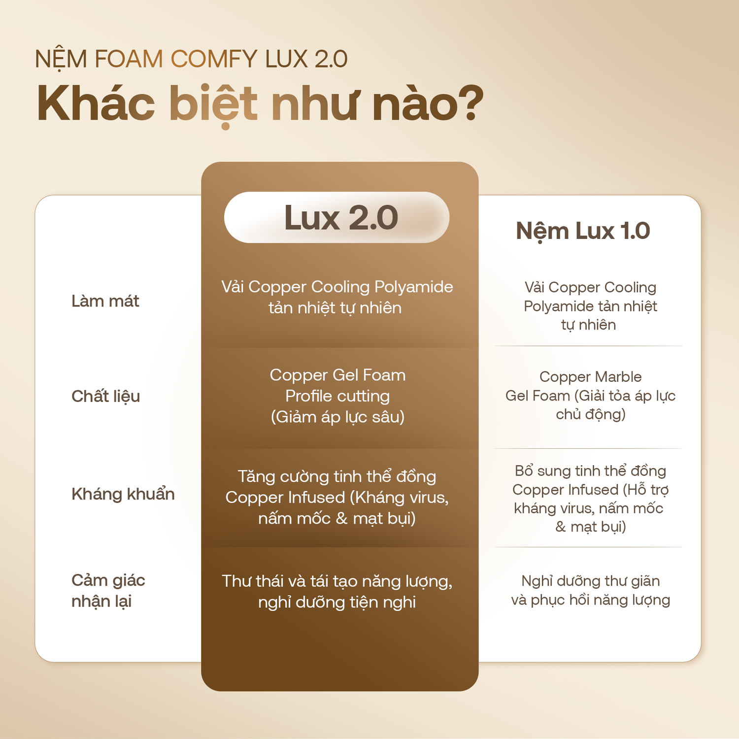 Hình ảnh giới thiệu nệm foam Comfy Lux 2.0 - 11