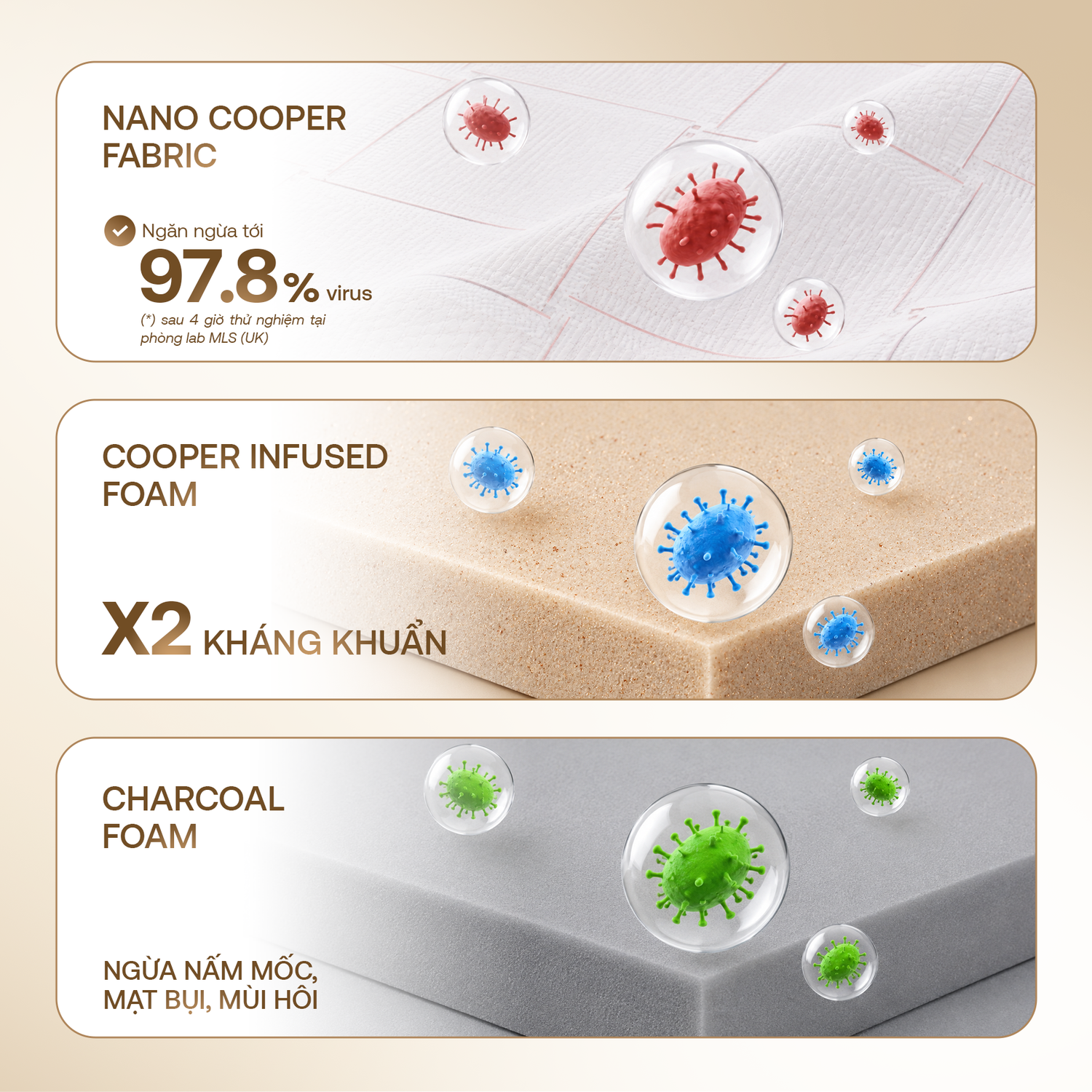 Hình ảnh giới thiệu nệm foam Comfy Lux 2.0 - 5