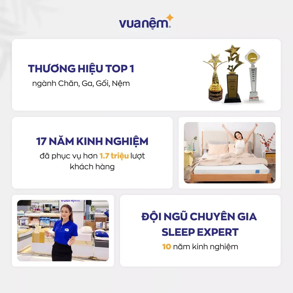 Về Vua Nệm