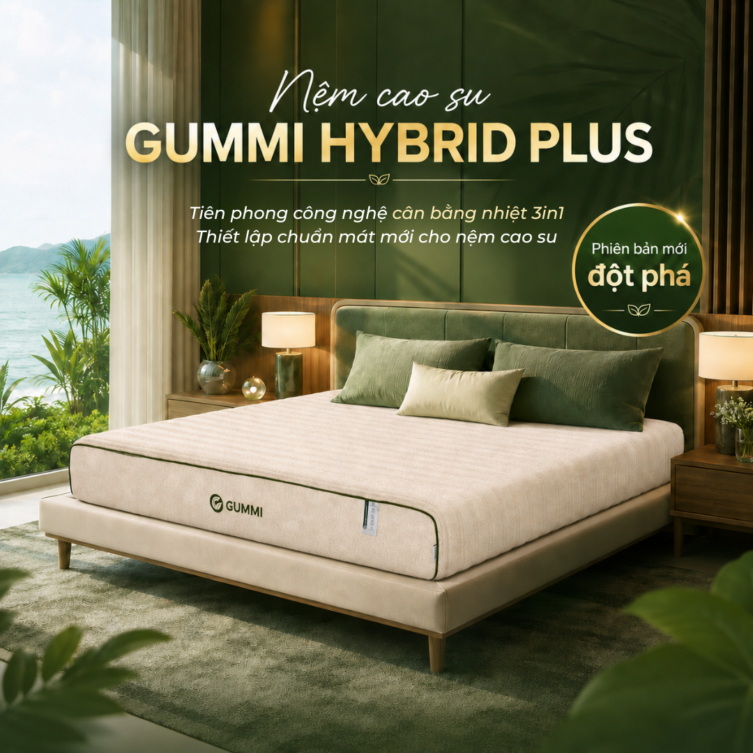 Nệm cao su Gummi Hybrid Plus