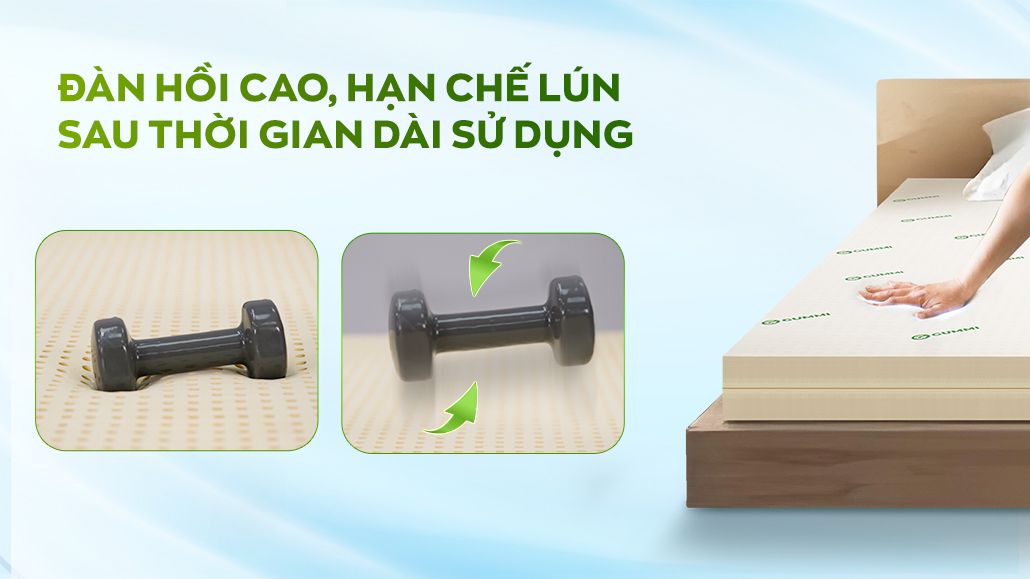 Cao su thiên nhiên đàn hồi cao