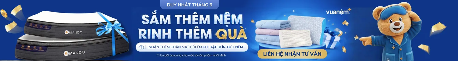Product Page Elite Plus - Middle - Tặng gối