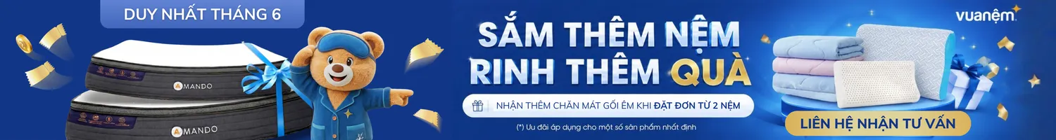 Product Page Premium - Middle - Tặng gối