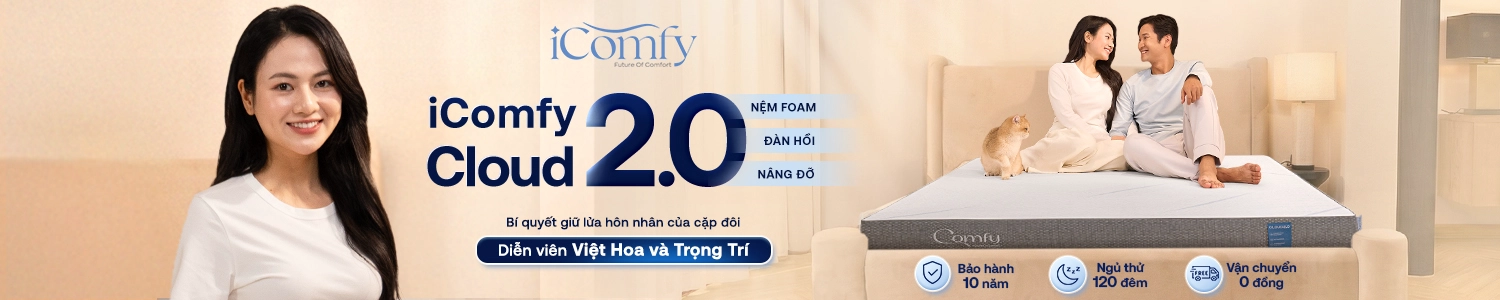 nệm comfy
