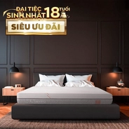 Nệm foam làm mát, kháng khuẩn nâng đỡ 5 vùng Comfy Lux 1.0