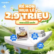 Combo Nano kháng khuẩn: 1 đệm Lux 1.0, 1 Ga chun Bliss, 2 gối cao su