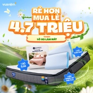 Combo Lò xo làm mát: 01 Đệm Spring Air Firm Plus, 01 bộ Élan/Lagom, 02 gối Nami