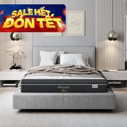 Nệm lò xo Amando Faro 5 vùng giảm đau lưng dày 35cm