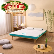 Nệm foam Nhật Bản Aeroflow Standard nâng đỡ cơ thể dày 12cm