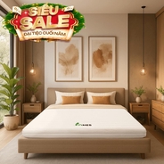 Nệm cao su Gummi 7zones nhập khẩu dày 12cm