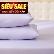 Vỏ gối tencel cao cấp Goodnight Airsilk