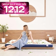 Nệm foam Goodnight Nagoya kháng khuẩn dày 12cm