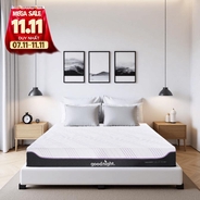 Nệm foam công nghệ Đức Goodnight Active Hybrid dày 20cm