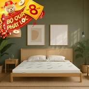 Nệm cao su thiên nhiên Gummi Classic thế hệ mới dày 5/10/15cm