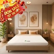 Nệm cao su Gummi 7zones nhập khẩu dày 12cm