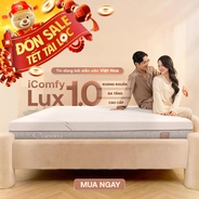 Nệm foam làm mát, kháng khuẩn nâng đỡ 5 vùng Comfy Lux 1.0