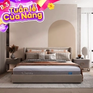 Nệm foam Comfy Cloud 3.0 cân bằng trọng lực dày 18cm