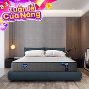 Nệm lò xo Spring Air Back Supporter Firm hỗ trợ nâng đỡ dày 25cm