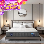 Nệm lò xo Spring Air Back Supporter Firm Cool nâng đỡ làm mát dày 26cm