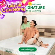 Nệm Gummi Signature – Công nghệ kép, nâng đỡ vượt trội, kháng khuẩn tối đa
