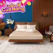 Bộ ga chun Amando Wellness Tencel Luxe họa tiết