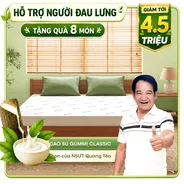 (Quà 8 món) Nệm cao su thiên nhiên Gummi Classic thế hệ mới dày 5/10/15cm