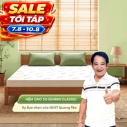 (Quà 8 món) Nệm cao su thiên nhiên Gummi Classic thế hệ mới dày 5/10/15cm