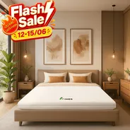 Nệm cao su Gummi 7zones nhập khẩu dày 12cm