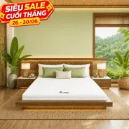 Nệm cao su Gummi 7zones nhập khẩu dày 12cm