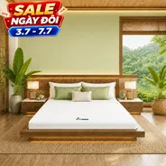Nệm cao su Gummi 7zones nhập khẩu dày 12cm