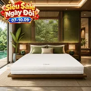 Nệm cao su cao cấp Gummi Legend nhập khẩu dày 20cm