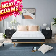 (Phiên bản giới hạn) Nệm Foam Tempur Pro Plus Firm cân bằng trọng lực dày 25cm