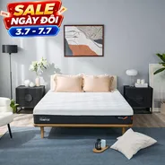 (Phiên bản giới hạn) Nệm Foam Tempur Pro Plus Firm cân bằng trọng lực dày 25cm